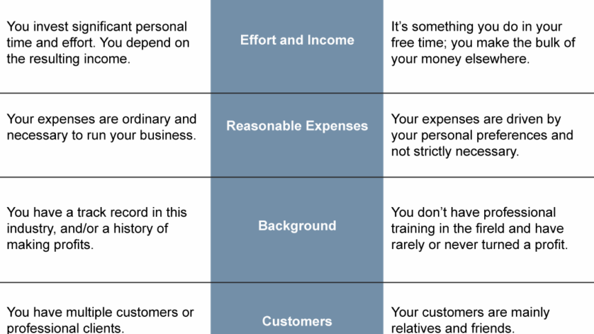 Hobbyist vs. entrepreneur